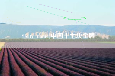 肥城中国十七块金牌