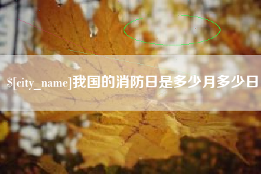 肥城我国的消防日是多少月多少日