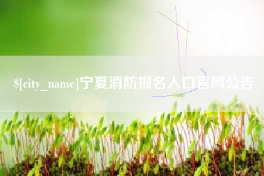 肥城宁夏消防报名入口官网公告