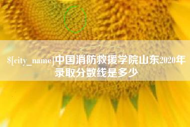 肥城中国消防救援学院山东2020年录取分数线是多少