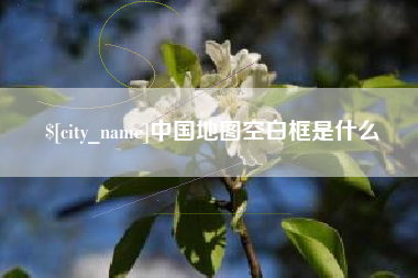 肥城中国地图空白框是什么