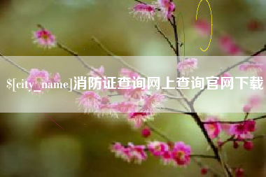 肥城消防证查询网上查询官网下载
