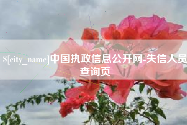 肥城中国执政信息公开网-失信人员查询页
