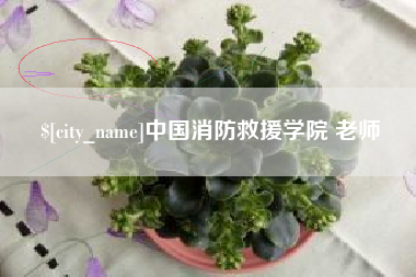 肥城中国消防救援学院 老师
