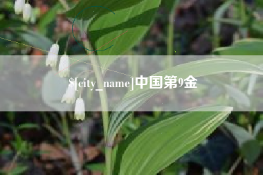 肥城中国第9金