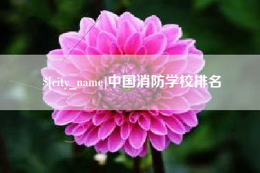 肥城中国消防学校排名