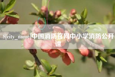 肥城中国消防官网中小学消防公开课