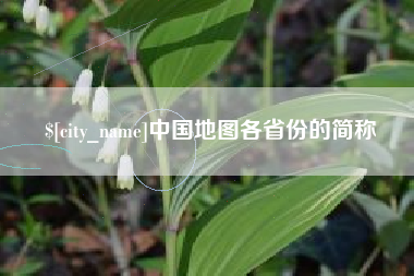 肥城中国地图各省份的简称