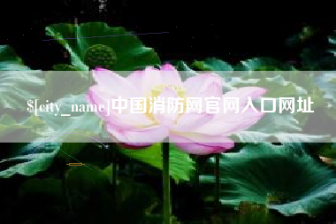 肥城中国消防网官网入口网址