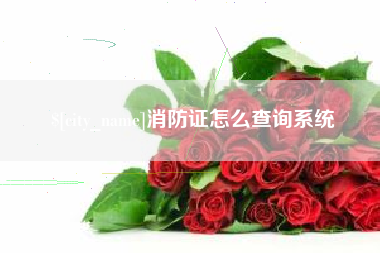 肥城消防证怎么查询系统