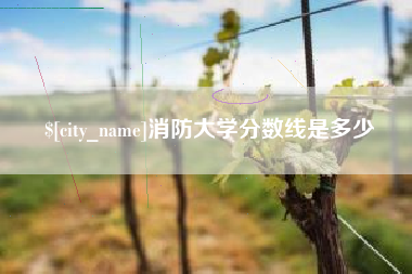 肥城消防大学分数线是多少