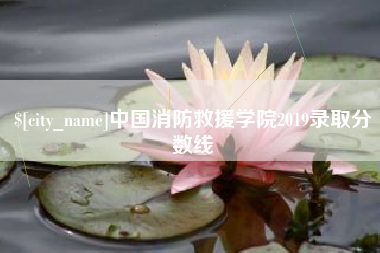 肥城中国消防救援学院2019录取分数线