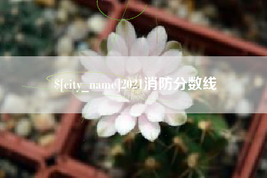 肥城2021消防分数线