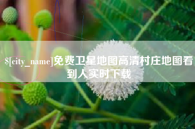 肥城免费卫星地图高清村庄地图看到人实时下载