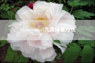 肥城九宫排盘方法