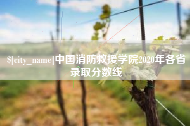 肥城中国消防救援学院2020年各省录取分数线