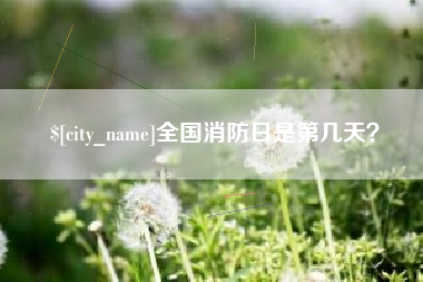 肥城全国消防日是第几天？