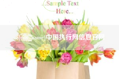 肥城中国执行网信息官网