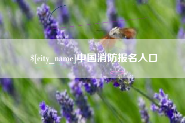 肥城中国消防报名入口