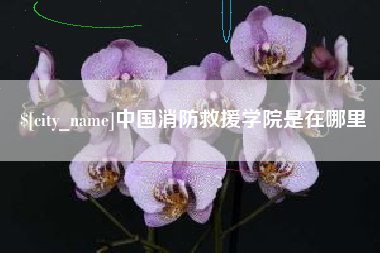 肥城中国消防救援学院是在哪里