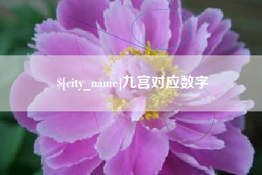 肥城九宫对应数字