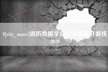 肥城消防救援学院招生录取分数线2019