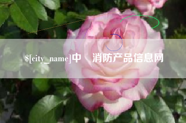 肥城中囯消防产品信息网