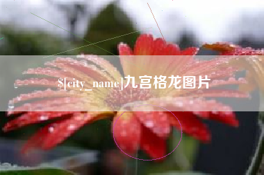 肥城九宫格龙图片
