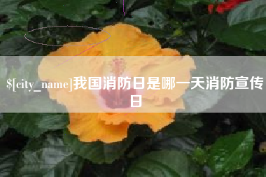 肥城我国消防日是哪一天消防宣传日