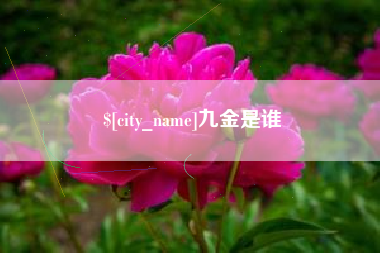 肥城九金是谁