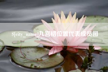 肥城九宫格位置代表成员图