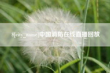 肥城中国消防在线直播回放