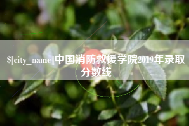 肥城中国消防救援学院2019年录取分数线