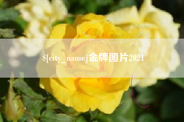 肥城金牌图片2021
