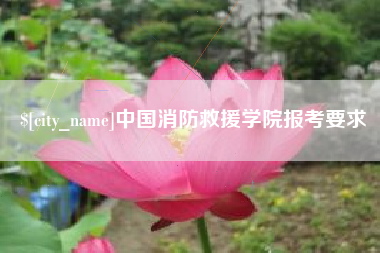肥城中国消防救援学院报考要求