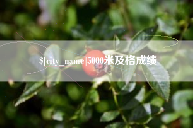 肥城5000米及格成绩