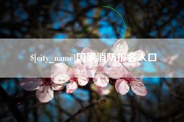 肥城国家消防报名入口