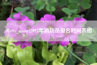 肥城2025年消防员报名时间表格