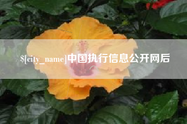 肥城中国执行信息公开网后