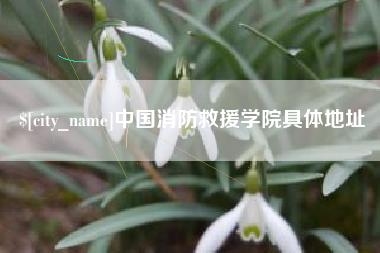 肥城中国消防救援学院具体地址
