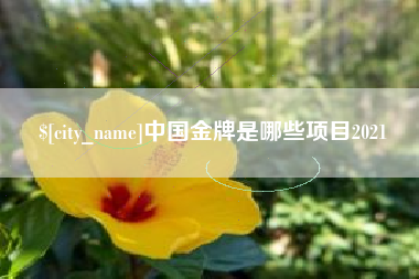 肥城中国金牌是哪些项目2021
