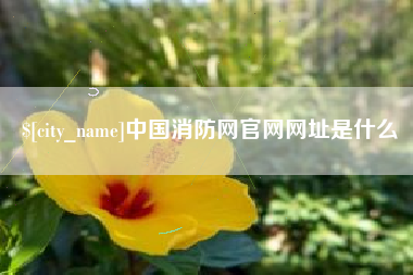 肥城中国消防网官网网址是什么