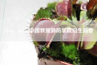肥城中国救援消防学院招生简章