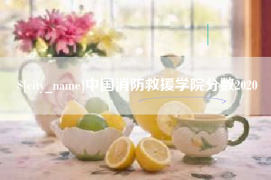肥城中国消防救援学院分数2020