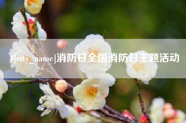 肥城消防日全国消防日主题活动