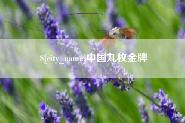 肥城中国九枚金牌