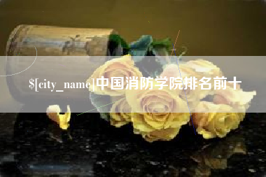 肥城中国消防学院排名前十