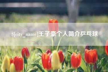 肥城王子豪个人简介乒乓球