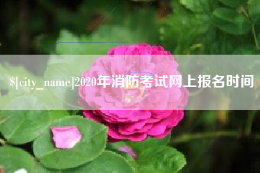 肥城2020年消防考试网上报名时间