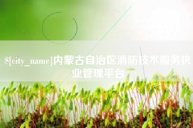 肥城内蒙古自治区消防技术服务执业管理平台